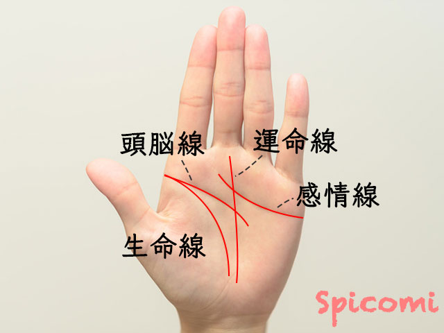 手相一覧まとめ 基本線 補助線 サイン Spicomi